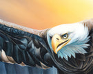 With Wings like Eagles